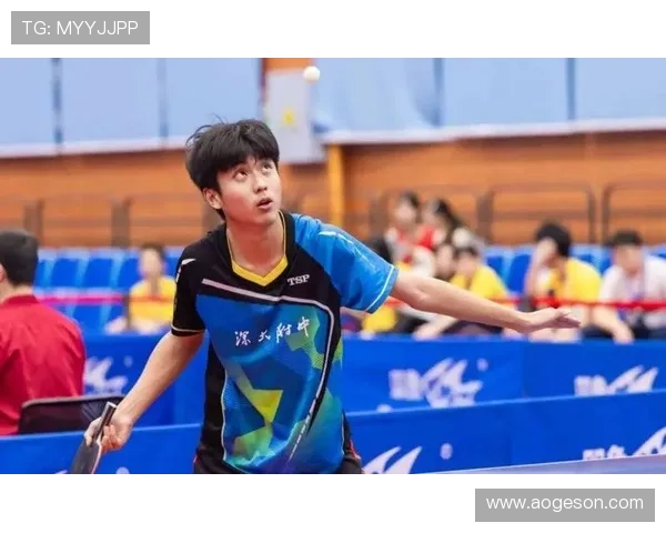 乒乓球战术排行榜揭晓深圳乒乓球队荣获第二名佳绩引关注