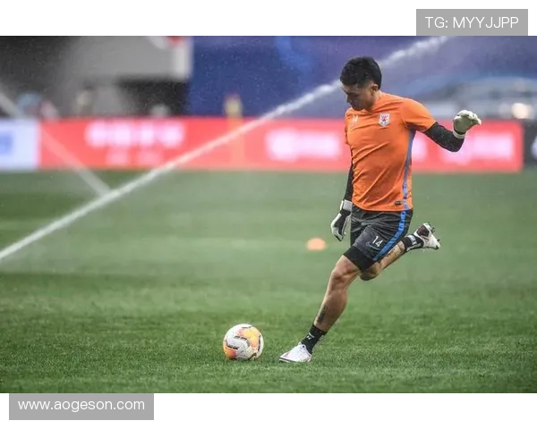 中国鲁能足球明星盘点及其在国内外赛场上的辉煌成就